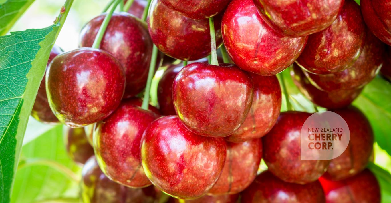 Central Otago Cherries New Zealand Cherry Corp.